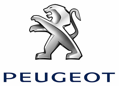 Peugeot Service Box+SEDRE Free Download & Installation