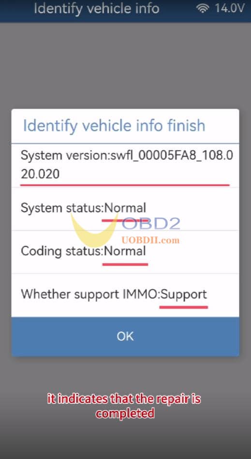 yanhua-acdp-fix-bmw-bdc2-abnormal-12