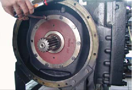 How to Remove Differential Gear for FENDT 900 Vario COMIII (5)